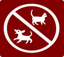 The hotel has a no-pet policy in certain haunted r The hotel has a no-pet policy in certain haunted rooms, especially dogs as they sense a presence and tear at the door or pull the room apart and bark